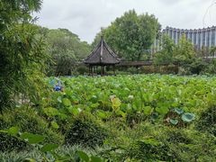 -上海醉白池公园