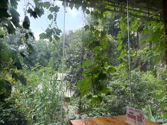 -谷咖啡·鲜花绿植花园餐厅