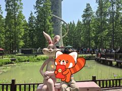 -黄海国家森林公园