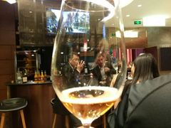 -识酒猫 x SNAP(国贸商城店)