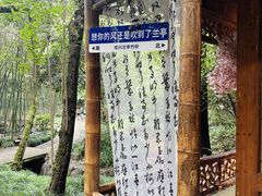 -兰亭风景区