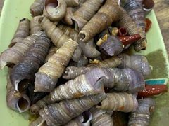 和味炒丁螺-贞姨美食·老字号海鲜大排档