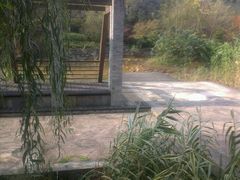 android_upload_pic-黔蘑菇四季餐厅(观山湖店)