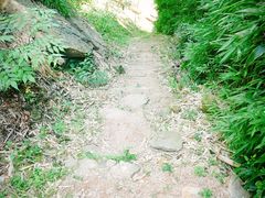 -井空里大峡谷