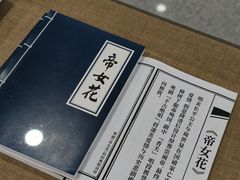 -大剧院(地铁站)