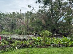 -海南热带野生动植物园