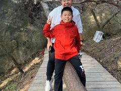 -鲁山国家森林公园