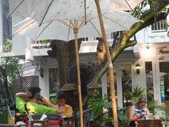 -Fern Forest Cafe