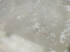 -三得正宗乌烈乳羊(环城东二路店)