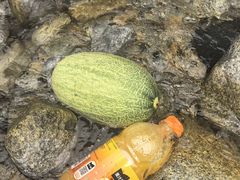 -陕西省红河谷森林公园