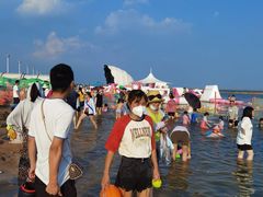 -碧海金沙
