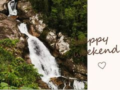 -海南热带雨林国家公园吊罗山景区