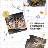 你可以把后面那个扇叶打开