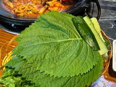 -红辣椒八爪鱼特色韩国料理