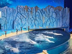 -珠海长隆海洋王国