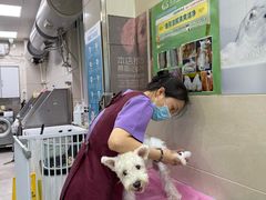 -北京观赏动物医院·24小时大型综合·猫专科·异宠专科