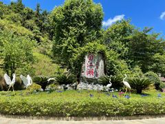 -广州白江湖森林公园