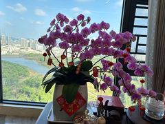 -深圳万象城