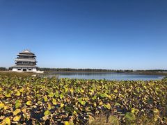 -呼兰河口湿地公园