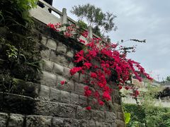 -燊海井