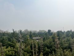 -洛阳白马寺