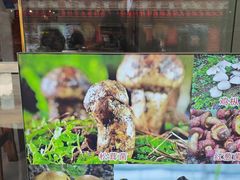 -草墩罗非鱼庄•野生菌•腊排骨(七星街上段店)