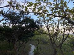 -棒棰岛宾馆景区