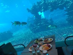 -海棠湾洲际-涛·海底餐厅·美人鱼·自助餐·海底隧道