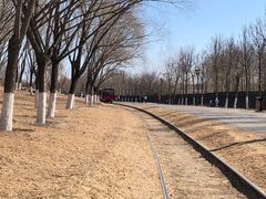 -永定河休闲森林公园