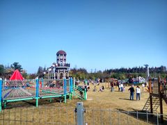 -上海长兴岛郊野公园