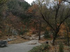 -北京鹫峰国家森林公园