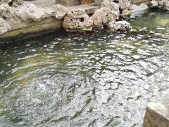 -普陀山风景名胜区-法雨禅寺