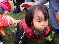 -迪茵湖田家舍生态农场