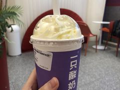 -一只酸奶牛(八一路店)