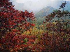 -云岫谷游猎自然风景区