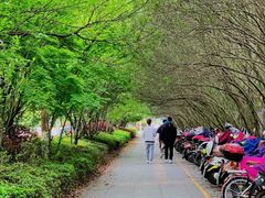 -千岛湖燃擎卡丁车赛车主题乐园(秀湖路店)