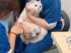 -仁普宠物诊所(住友昌盛新苑店)