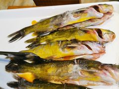 -融泽漁悦三只耳鱼火锅(南郑大道店)