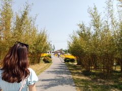 -尚贤河湿地