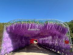 -汕尾铜鼎山旅游区