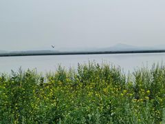 -坝上草原大汗行宫旅游景区