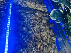 -享遇.锅姥姥牛排海鲜自助(小寨店)
