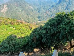 -广州市石门国家森林公园