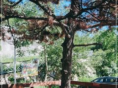 -八奇洞景区