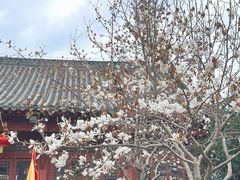 -长春观