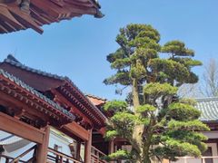 -径山寺