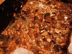 -邈墨茶馆(凤起路店)