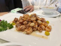 鸡里蹦-丁老爷子苏香圆