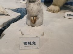 -陕西自然博物馆