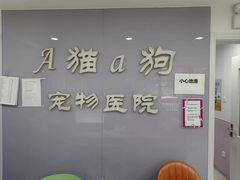 -A猫a狗全科·犬猫异宠·芥西宠物医院(南开总院)